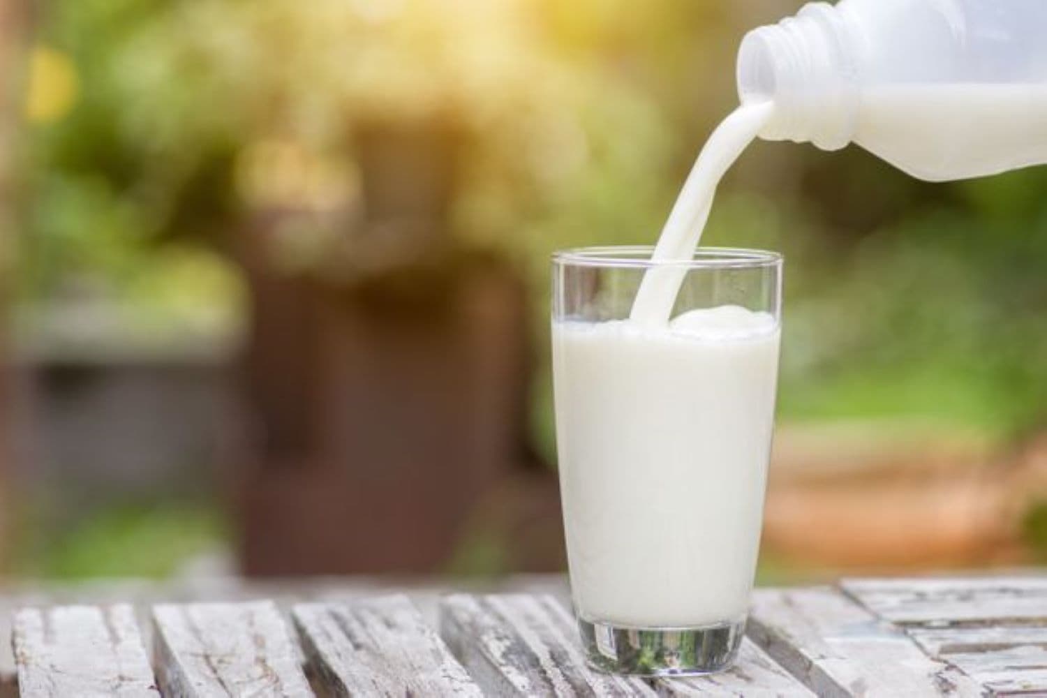 Scandalo del latte importato, Report indaga