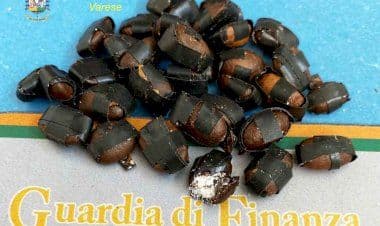 Malpensa, la Guardia di Finanza scopre cocaina abilmente occultata dentro i chicchi di caffè