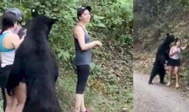Incontro finito bene tra un orso nero e tre ragazze. Una delle donne ne approfitta per fare un selfie.