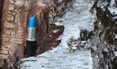 La bellezza che non inquina