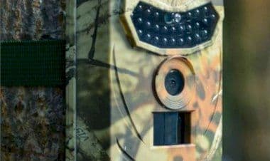 Malnate, arrivano le fototrappole