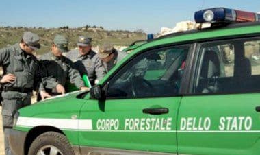 'Pascoli d'oro”, l’inchiesta sui Fondi Europei arriva al VCO?