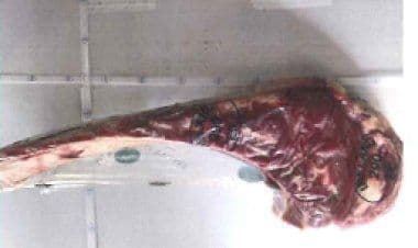 Richiamo per costata di manzo adulto Platinum Prime con escheria coli produttore di Shigatossine.