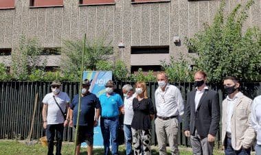 Busto, l'Amministrazione schierata per l'ambiente con la paulownia