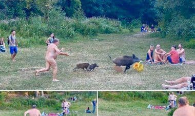 Nudista rincorre un cinghiale e i suoi piccoli che gli hanno rubato la borsa: le foto dell’imbarazzante inseguimento diventano virali