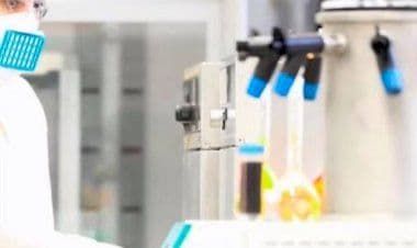 Creata una membrana che distrugge batteri e virus utile anche in chiave anti Covid-19