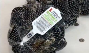 Allerta su cozze contaminate da tossine