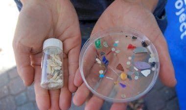 Non solo acqua, aria, pesci e terra: microplastiche anche nel corpo umano.