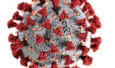 Coronavirus, ASST VALLE OLONA, prestazioni prenotabili