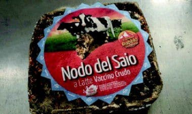 Presenza di Escherichia Coli STEC, il Ministero richiama lotto di NODO DEL SAIO VACCINO.