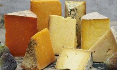 Svizzera. Batterio della listeria uccide dieci persone: aperta indagine nei confronti di un caseificio del Canton Svitto