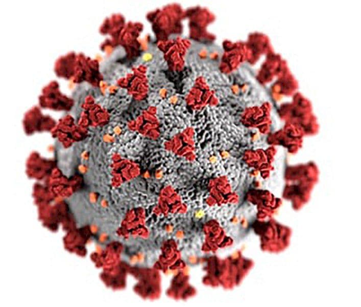 Covid-19: la trasmissione del virus non è condizionata dal clima.