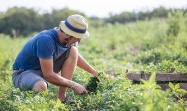 Earth Day 2021: Cia: accesso alla terra per giovani agricoltori