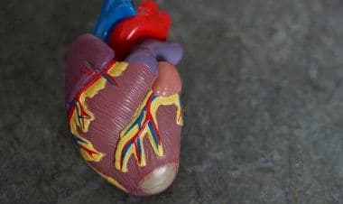 Castronno(Va).Il nostro cuore fragile!