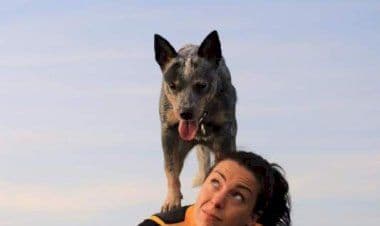 a Busto spettacolo esclusivo: i cani volanti