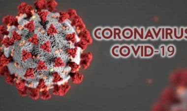 Coronavirus, naturale o generato artificialmente in laboratorio?