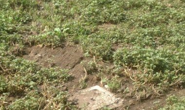 Villadosia,  polemica continua sugli scarichi fognari