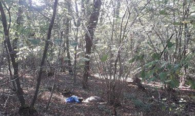 Carabinieri del NOE di Milano, traffici nel Nord Italia