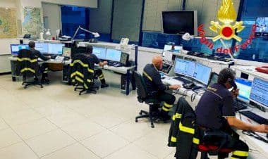 Vergiate e dintorni, piante cadute