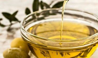 Olio: via alla raccolta. Crolla produzione (-36%) ma qualità resta eccellente