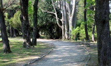 Gallarate: si abbelliranno quarantuno parchi