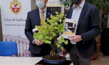 Gallarate: XXI edizione di Duemilalibri