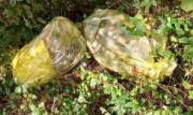 Trecate, cambiamenti nel recupero materiali ingombranti