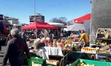 Trecate, mercato solo alimentare
