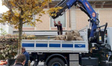 Comuni in crisi: il terzo Rapporto Ca’ Foscari