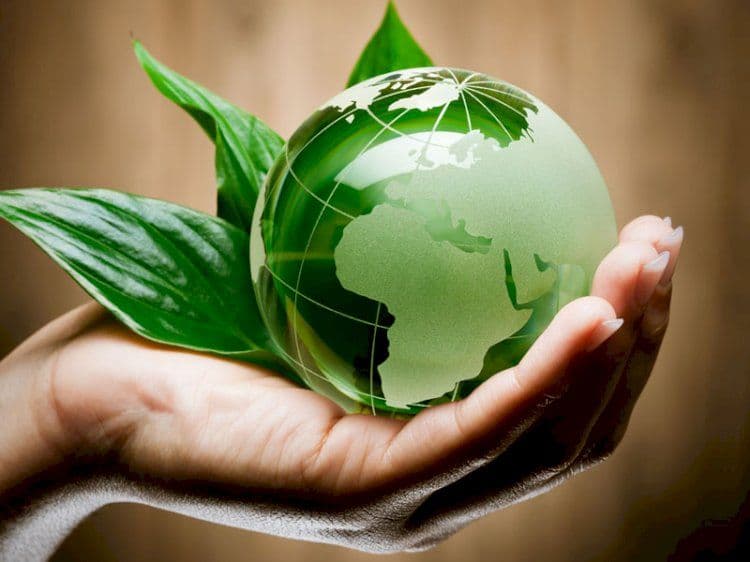 Clima, Rotta: “Rivoluzione ecologica per prevenire i disastri ambientali”