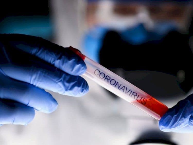 Coronavirus: nuova mutazione in Norvegia a trasmissione rapida rende il virus più contagioso