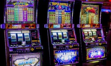 Gioco legale al centro, proposta di Leone