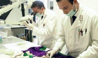 Laveno Mombello: preso il ladro di ville grazie ai RIS di Parma