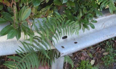 Casale Litta, continuano le segnalazioni di Turato Nicola