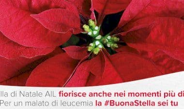 Anche a Cairate l'iniziativa "Una Stella di Natale AIL"
