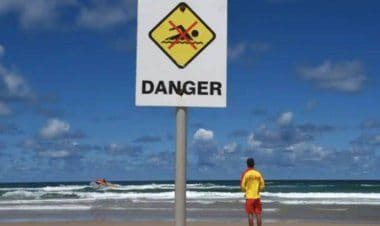 Morso da uno squalo bianco mentre fa surf.