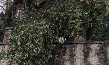 Somma, dopo la nevicata via Visconti peggio di prima