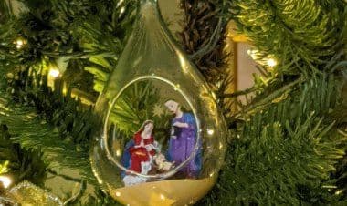 Albero Sacro o Pagano?