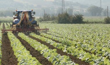 Biologico: Cia, bene Senato. Accelerare su approvazione legge