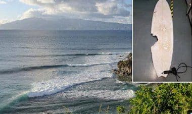 Morso da uno squalo, surfista di 56 anni muore per le ferite a Maui