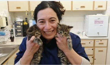 Coronavirus, la Russia sviluppa il vaccino per gli animali