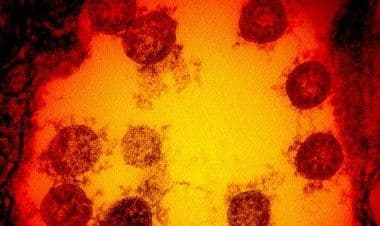 Scoperta nel Regno Unito una nuova variante di coronavirus