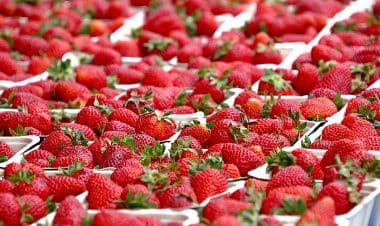 Trecate (No). Erogazione di Buoni Spesa dal Comune