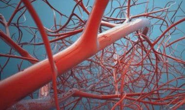 Realizzato un robot microscopico che si muove nei capillari