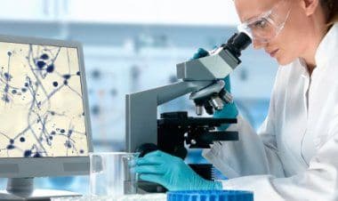 Premio 'Lombardia è ricerca', 1 milione per sostenibilità ambientale