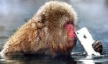 Assicurazioni viaggi: ecco le denunce di sinistro più bizzarre del 2020