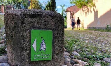 Via Francisca del Lucomagno si presenta agli scout con incontro online