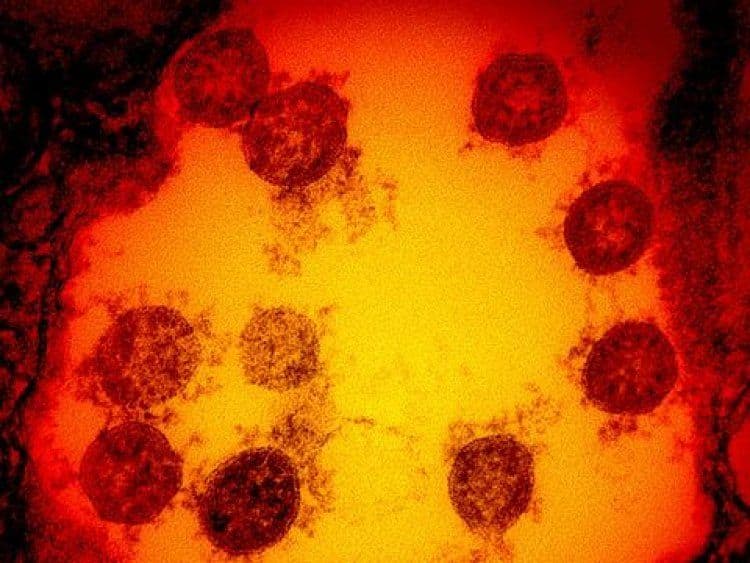 Scoperta nel Regno Unito una nuova variante di coronavirus