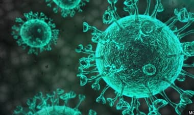 Busto Arsizio, Covid e solidarietà cittadina