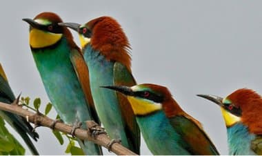 Parco Lombardo Valle del Ticino, selezione componenti